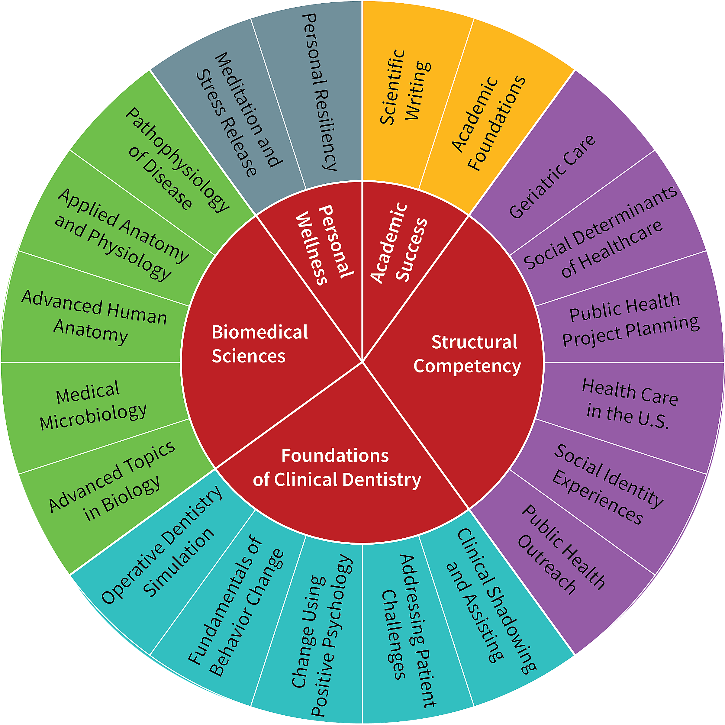 Sample Curriculum Structure